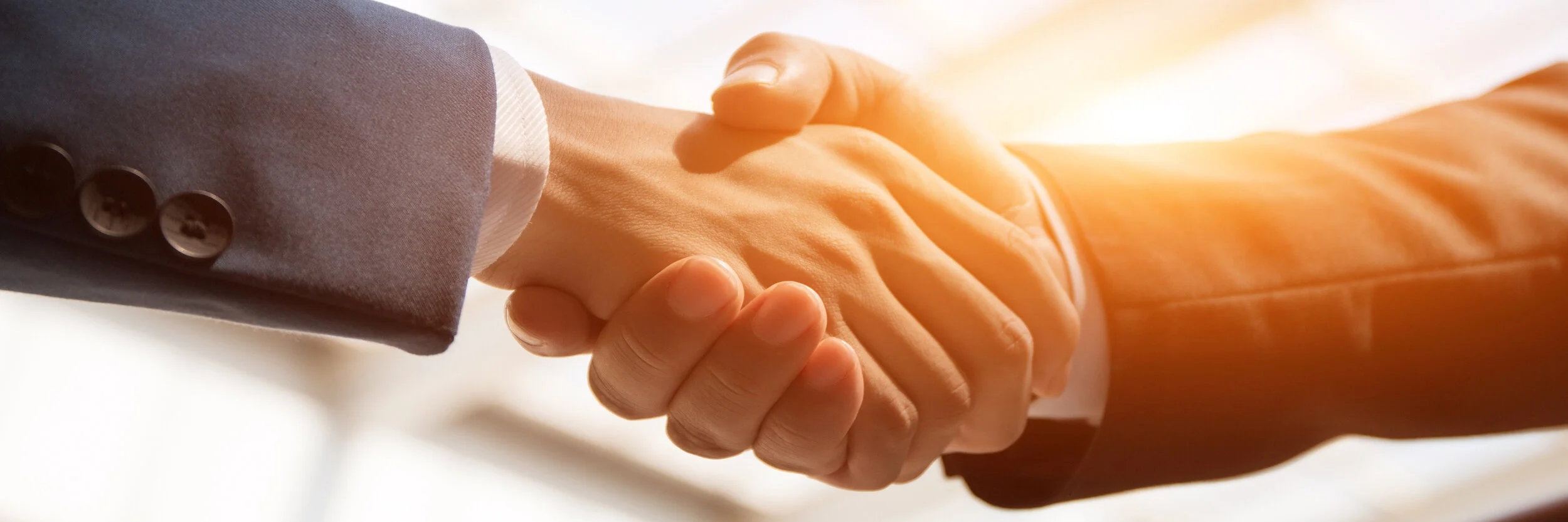 Whats in a Guarantee? 3rd Party Ownership: Success or Failure is based on this one word